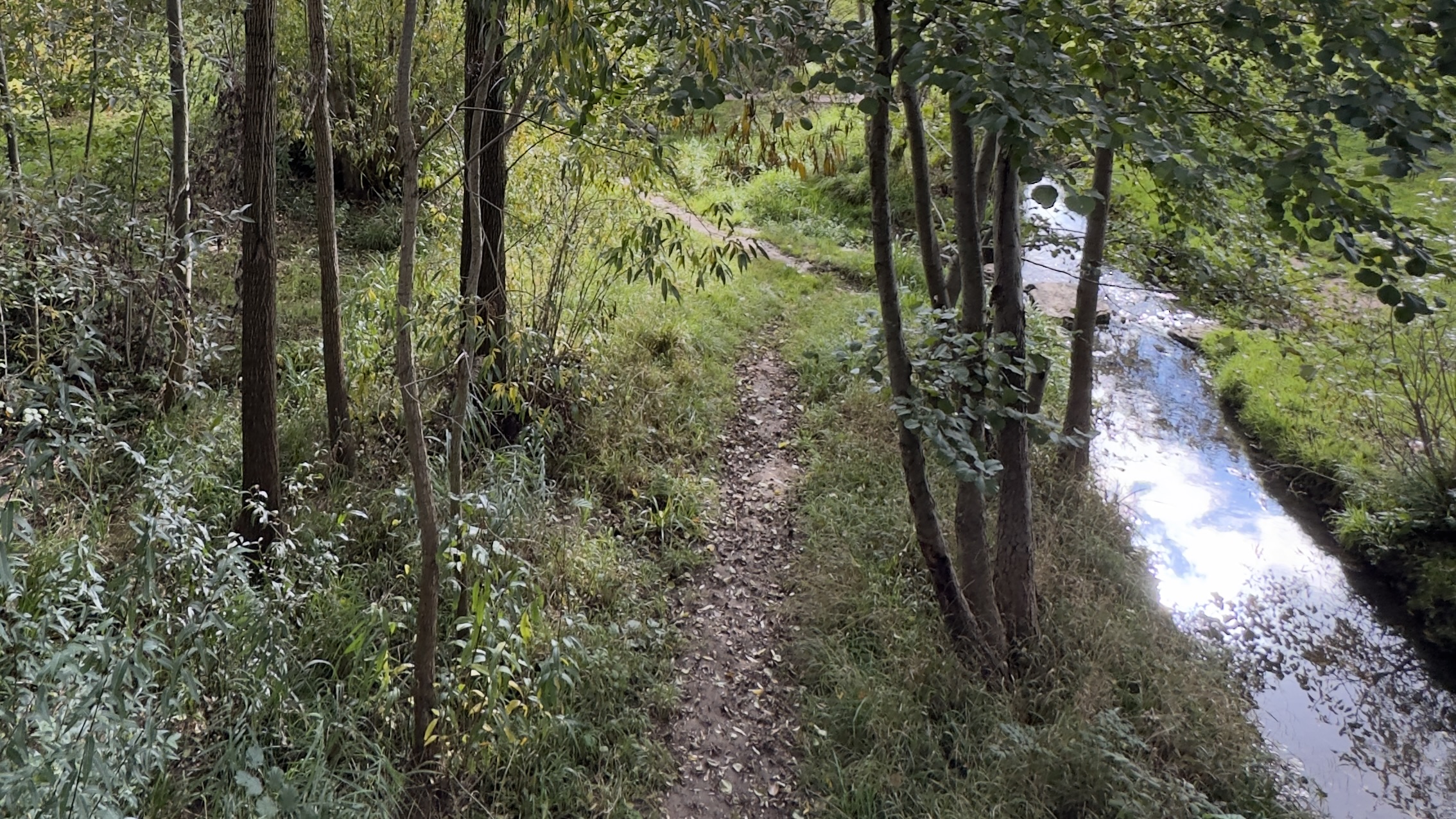 Spaziergang durch den Park
